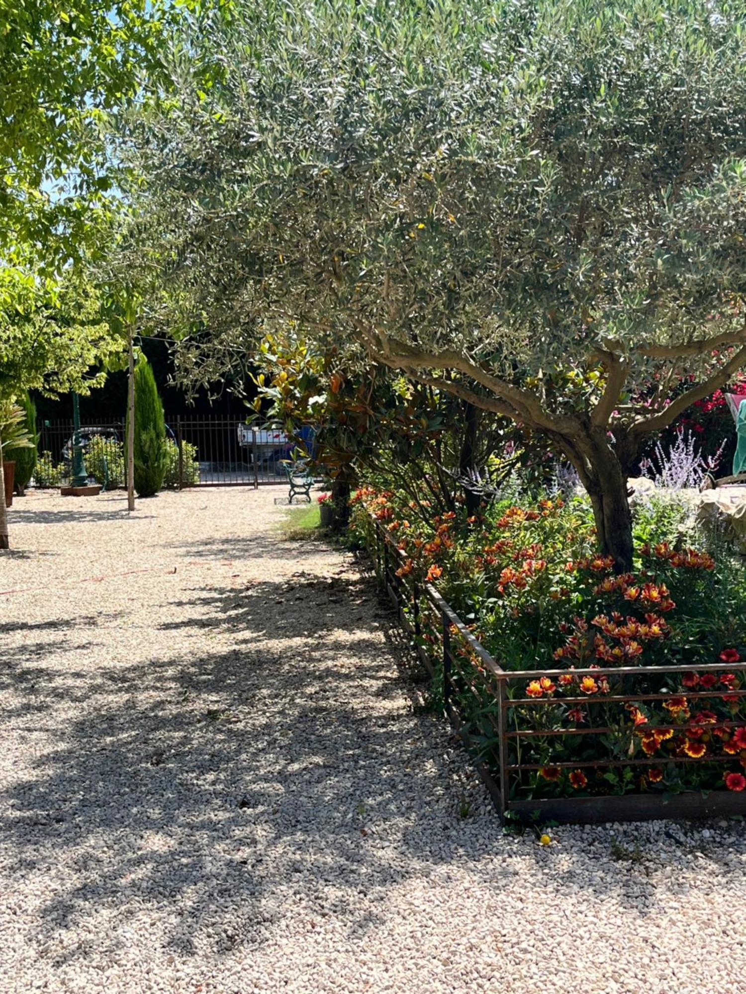 Апартаменти La Provence Avec Piscine Privative En Campagne Перн-ле-Фонтен Екстер'єр фото